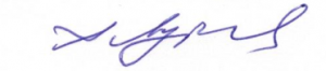 подпись лубков